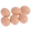 6PCS Mannequin Oeufs Faux Oeufs  Aide Pondre Poule