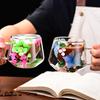 Кружки для кофе с двойными стенками из высокоборосиликатного стекла с красочным лепестковым дизайном