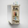 Plastic Multipurpose, Wall-Mounted Storage Cabinet with Mirror, Small (Ivory)