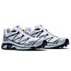 SALOMON Кроссовки XT 6 'White Icy Morn' 413173