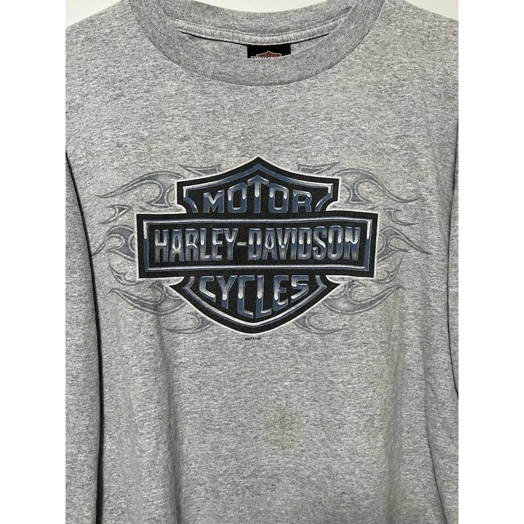Совершенно новая последняя модель мужской футболки с длинным рукавом Harley-Davidson, серо-бело-черная колор-блок с принтом логотипа, круглый вырез, приталенный крой, мото-стиль
