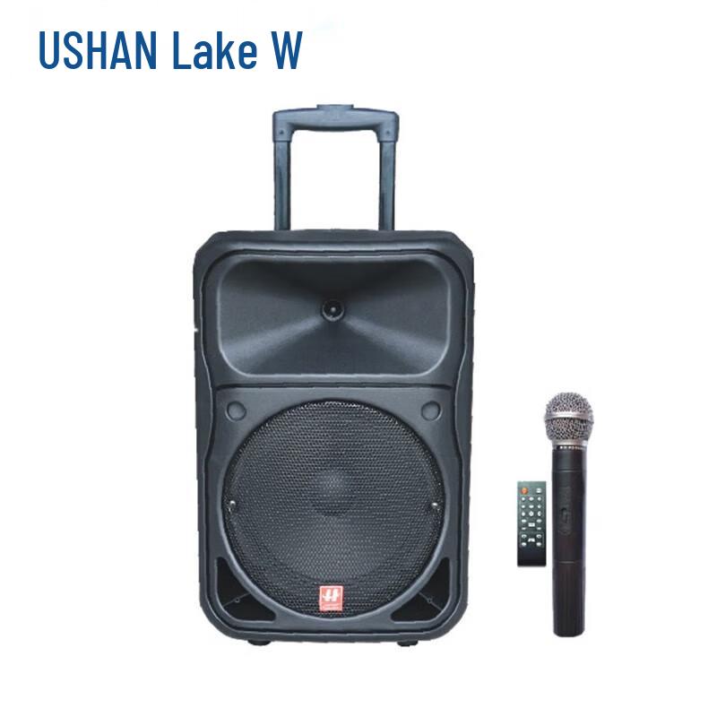 HUSHAN Professional Audio-Video System O-BGY4904 CN plug (adapter included)