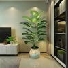 75cm Artificial Palm Evergreen Plastic Turtle Leaf New Fake Plants Leaf  Office