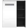 LED Lighted Mirror Cabinet Black 45 x 13 x 52 cm
