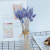 Bunny Tail Grass Dried Flower Bouquet - DIY Living Room Decoration