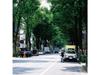 ВЫПРЯМИТЕЛЬ The Ordinary Road [CD+Blu-ray] Первое издание Тип B TYCT-69317 НОВЫЙ