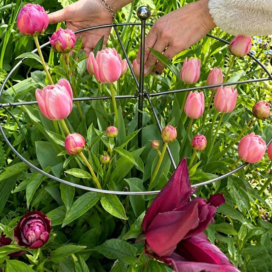 Peony Cage, Plant Support Cage with Four Legs, Heavy-Duty Metal Plant Support Ring for Roses Tomatoes Cucumbers Hydrangeas