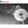 HUACAN Diamond Painting Dandelion 5D DIY Diamond Embroidery Mosaic Picture Of Rhinestone