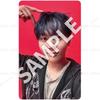 SEVENTEEN 5-й АЛЬБОМ HAPPY BURSTDAY DAREDEVIL ver. ФОТОКАРТОЧКА ИЗ АЛЬБОМА ЯПОНИЯ POB