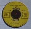12-дюймовая пластинка R. ZEE JACKSON  LEROY BROWN  Регги Диско Медли  Люби Другого  ECHO12006 Echo UK Регги Ска  Даб Б/У