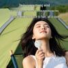 AIRMATE Портативный ручной мини-вентилятор с аккумулятором, штекер CN (адаптер в комплекте)
