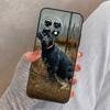Labrador Puppy Dog Cover For OnePlus Nord 4 3 CE 2 Lite N20 N10 N30 OnePlus 8T 10T 13 13R 12 12R 11 10 Pro Case