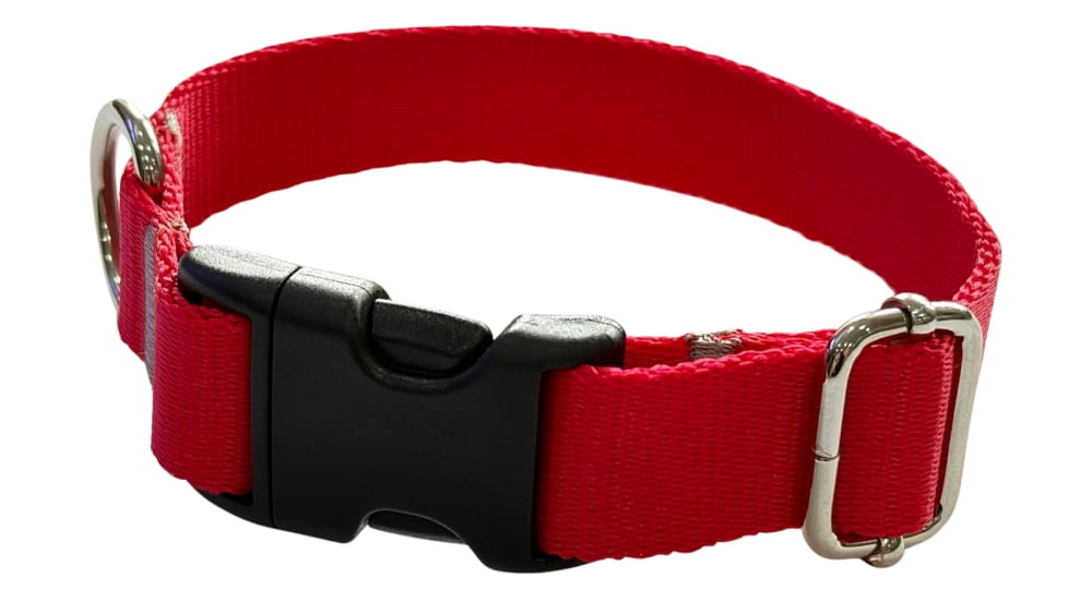 Dog Collar 2 cm with Buckle Adjustable Red Fasten Dog Collar 2 cm with Buckle Adjustable Red Fasten XL: 50-75cm