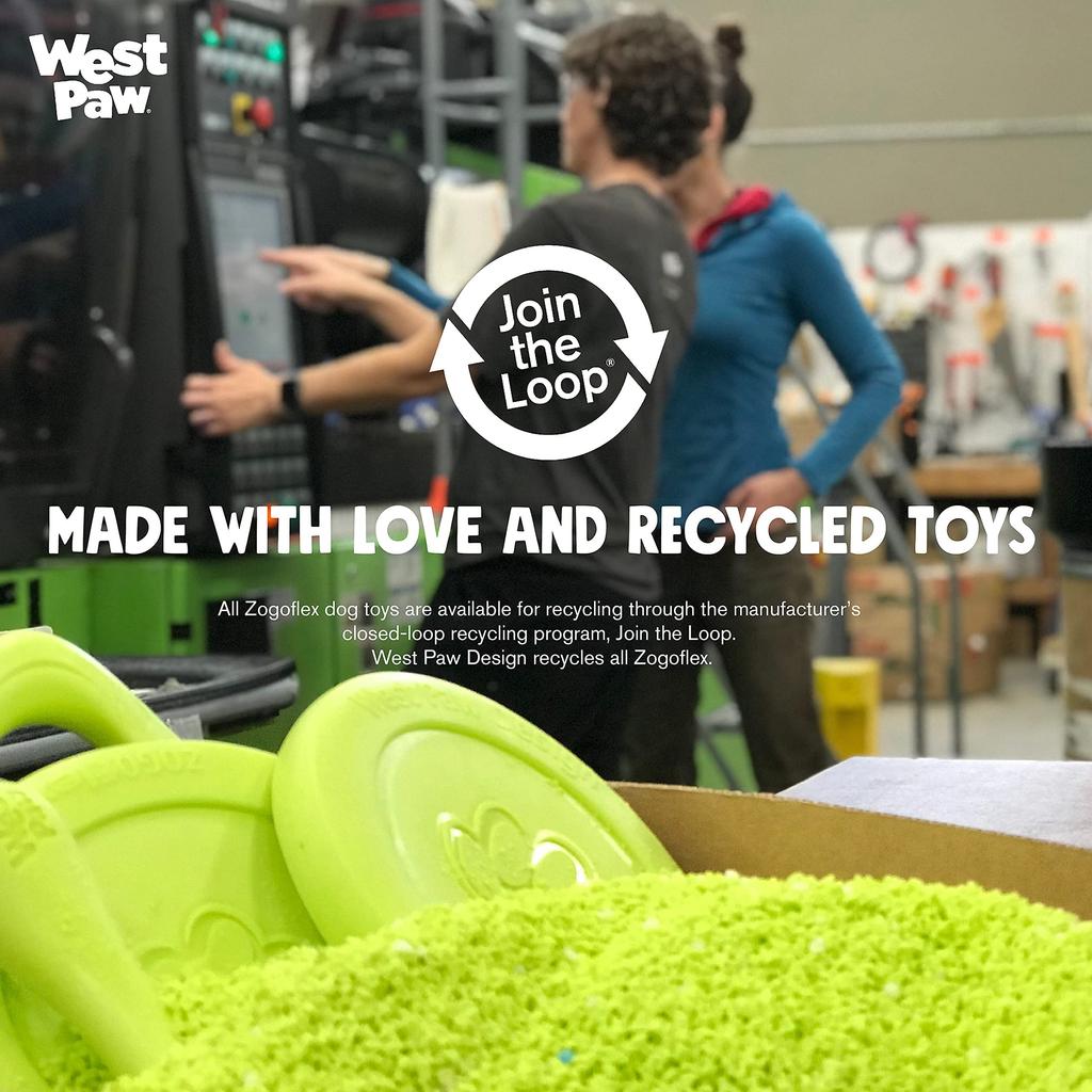 West Paw Dog Toy Zogoflex Echo Scamp Egg Plant (Purple)