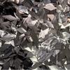 500 г/1000 г Хлопья Кованый Углерод Ромбовидный Углеродное Волокно Короткая Нарезка 15 мм Размер Углеродное Волокно Кованая Текстура Сырье
