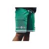 Nike Boston Celtics Dri-FIT DNA Logo Drawstring Straight Leg Дышащие Удобные Мягкие Баскетбольные Шорты Мужские Шорты Зеленые DH9168-312
