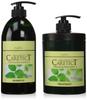 Napura Caretect HB Color Shampoo Treatment S Moist Type 650 г, набор для оптовой покупки и 750 мл,