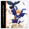 НАВЕРХ Чехол для подушки Shoyo Hinata Haikyuu! ! Вер. 2,0