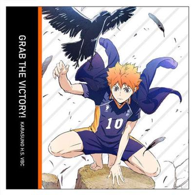 НАВЕРХ Чехол для подушки Shoyo Hinata Haikyuu! ! Вер. 2,0