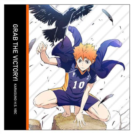 НАВЕРХ Чехол для подушки Shoyo Hinata Haikyuu! ! Вер. 2,0
