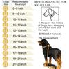 Designer Dog Collar Gold Metal Stainless Steel with Zirconia Lock 14mm 18K Gold Big Dog Luxury Training Collar Cuban Lock Link Necklace Chain(10