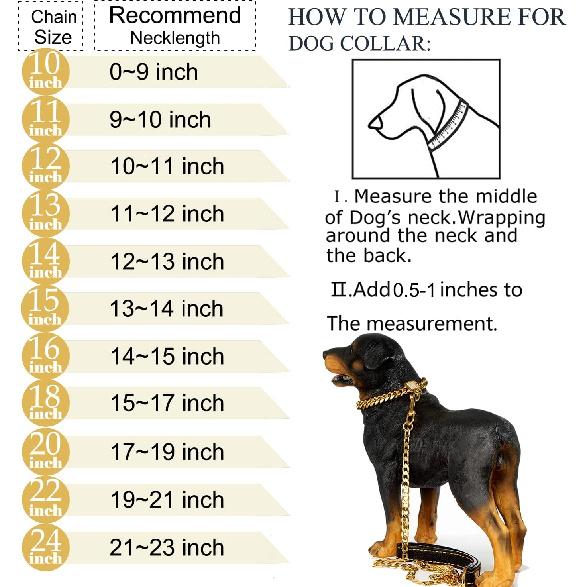 Designer Dog Collar Gold Metal Stainless Steel with Zirconia Lock 14mm 18K Gold Big Dog Luxury Training Collar Cuban Lock Link Necklace Chain(10