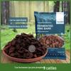 Special Fermented Pine Bark Substrate for Clivia, Phalaenopsis, and Dendrobium Orchids, New Zealand Bark for Top Dressing