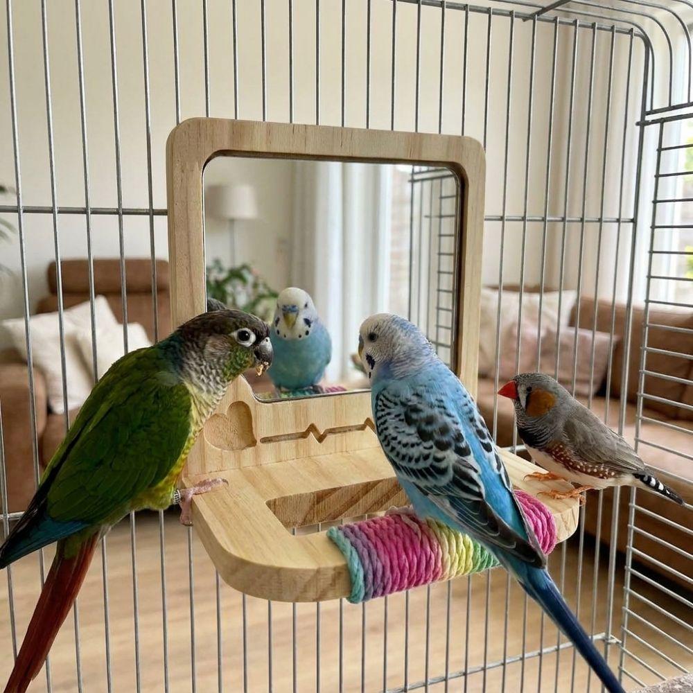 Anti-slip Wood Bird Training Stand Bite Resistant Birds Grinding Perch Holder Foraging Activity