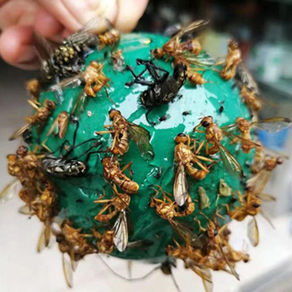 10 упаковок флайбола, прочный клей, непромокаемый, солнцезащитный, легко ловит насекомых, грибковые комары, фруктовые ловушки для мух