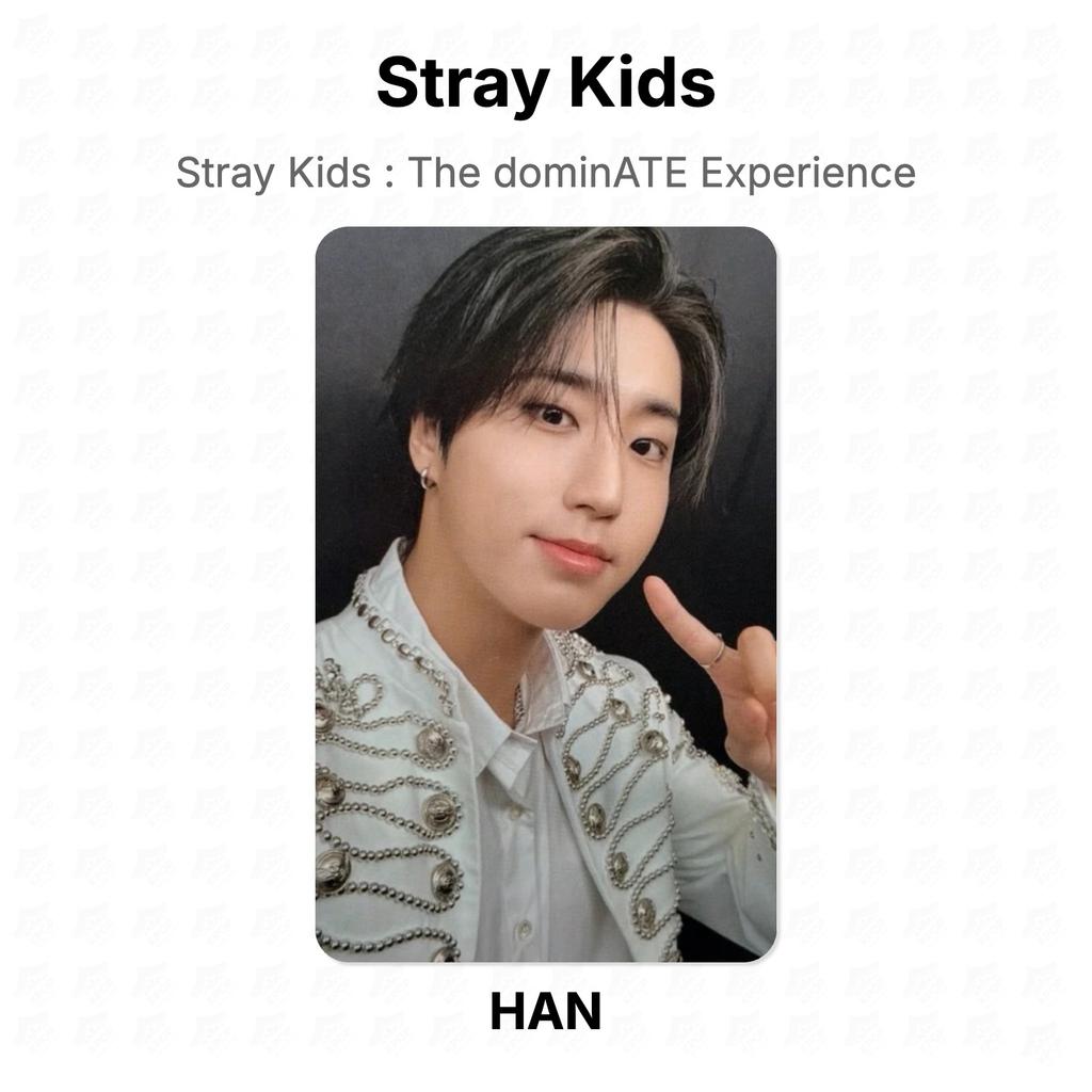 Stray Kids Официальная фотокарточка dominATE Experience