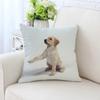 Милая собака Декоративная наволочка для автомобиля Украшения для офиса Гостиная Диван Домашняя наволочка