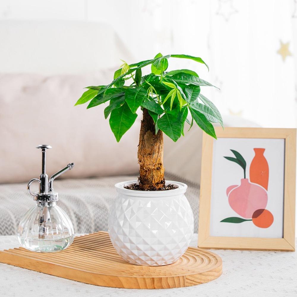 Съемный цветочный горшок Пластиковый Офисный Декор Бонсай Новый Горшок для гидропонных растений