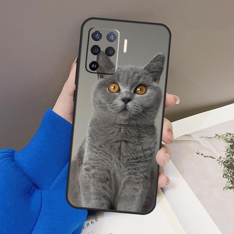 Чехол для кошки Британская короткошерстная для Oppo A78 A38 A18 A98 A58 A60 A80 A40 A96 A76 A16 A94 A74 A54 A15 A17 A57 A77 A5 Pro