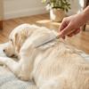 Wood Grip Double Sided Pet Comb Dual Tooth Wooden Handle Pet Comb  Home Pet Grooming