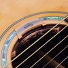 guitar pickup, GGP-01