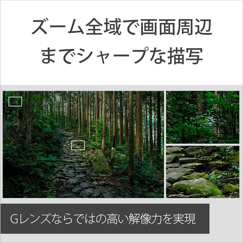 Sony Стандартный зум-объектив полного размера FE 24-105 мм F4 G OSS G объектив для цифровой однообъективной камеры [крепление E] оригинальный объектив SEL24105G