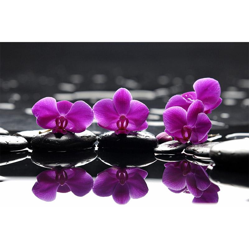Цветок DIY 5D алмазная живопись полный круглый дрель Стразы Мозаика Орхидея Пейзаж Алмазная вышивка крестиком домашний декор