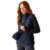 Regatta Womens/Ladies Andreson Hybrid Gilet