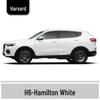 Карандаш для подкраски Haval H6 Cool Dog, Черный Spot & Ruixue Белый Краска для ремонта царапин