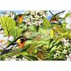 5D Diamond Painting Animal Bird Full Diamond Mosaic Diy Cross Stitch Set Garden Home Decoration Christmas Gift