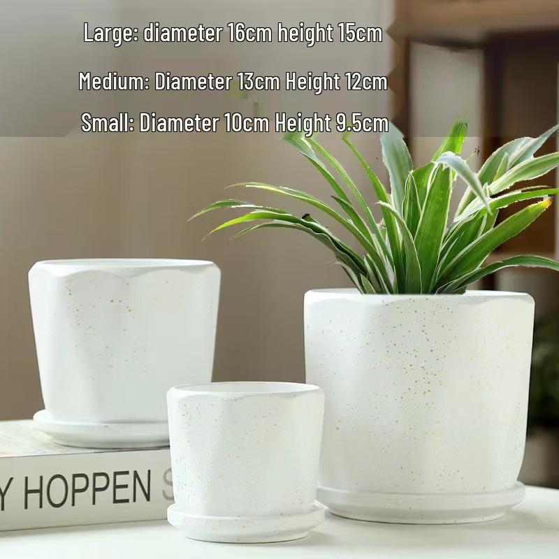 Creative Ceramic Succulent Planter Set