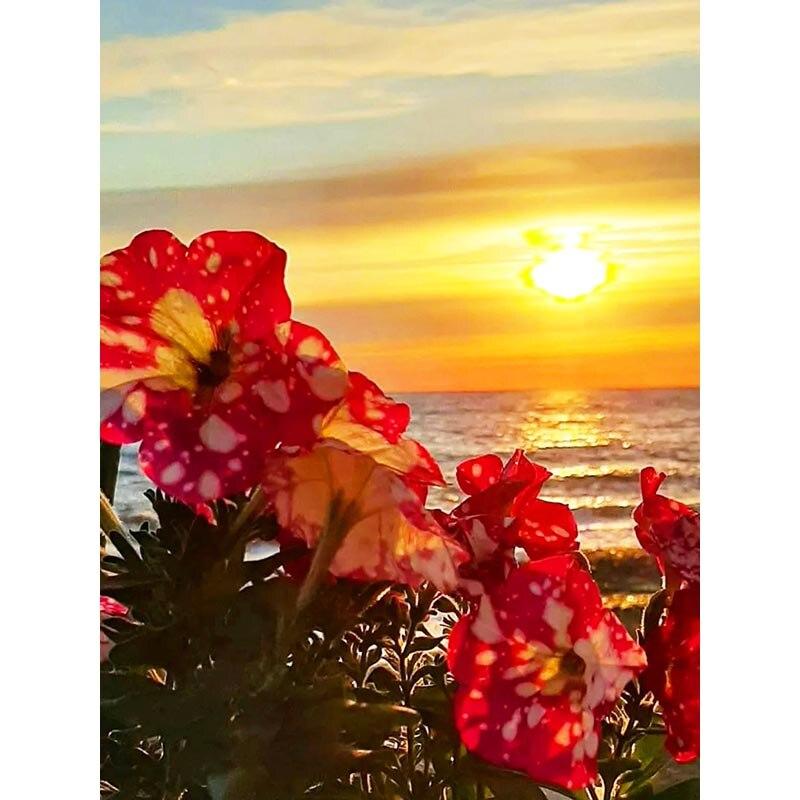 5D DIY алмазная живопись закат пейзаж Алмазная вышивка пейзаж вышивка крестом полная круглая дрель ремесла домашний декор подарок