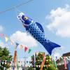 Cartoon Japanese Carp Windsock 40/70/100cm Carp Shape Flags Fashion Carp Spray Windsock  Festival
