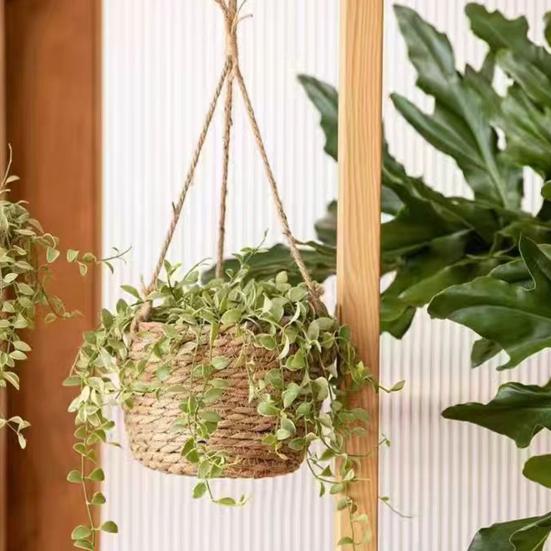 Подвесное кашпо из хлопковой веревки, прочная плетеная вручную корзина для цветов, деревенский шарм, держатель для растений, горшок для выращивания орхидей