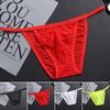 Men's Sexy Transparent Briefs Boxer Briefs Underpants Underwear T-back