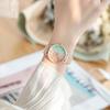 Женские часы Ins Style Simple Temperament Gradient Rainbow Quartz Watch Fashion Mesh Chain Женские часы