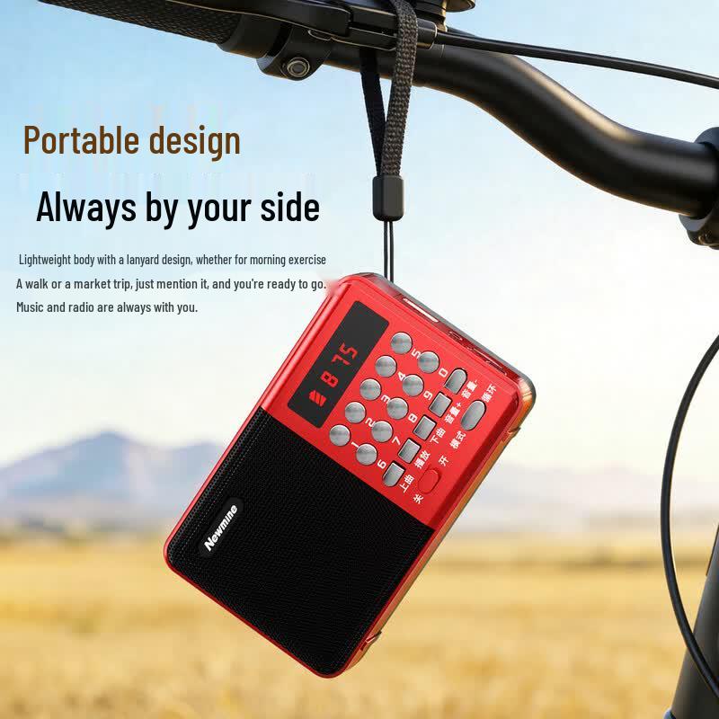Newman K65 Portable Multifunction Bluetooth Radio Speaker