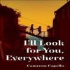 Ill Look for You Everywhere by Cameron Capello Hardback Book 9781035035892