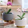 Large Creative Ceramic Flower Pot with Tray - Ideal for Chlorophytum & Succulents