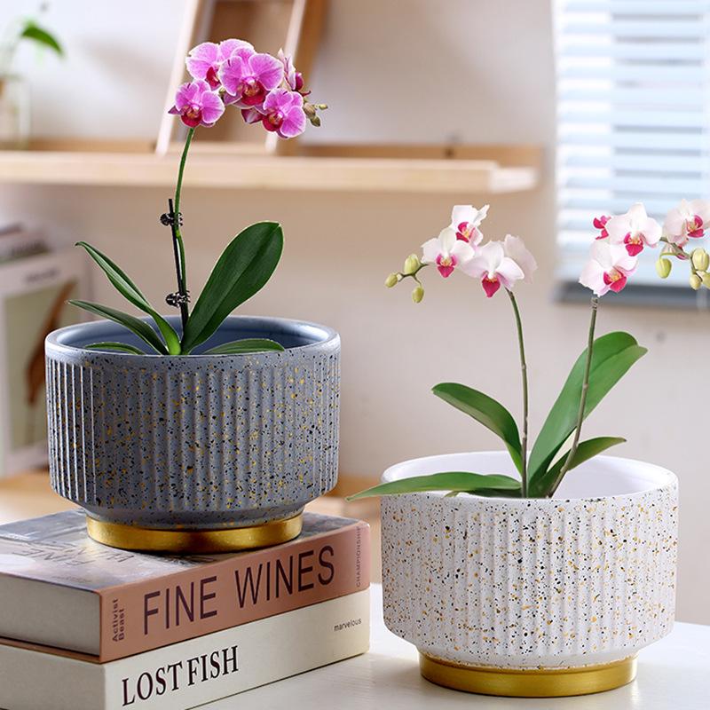 Large Creative Ceramic Flower Pot with Tray - Ideal for Chlorophytum & Succulents